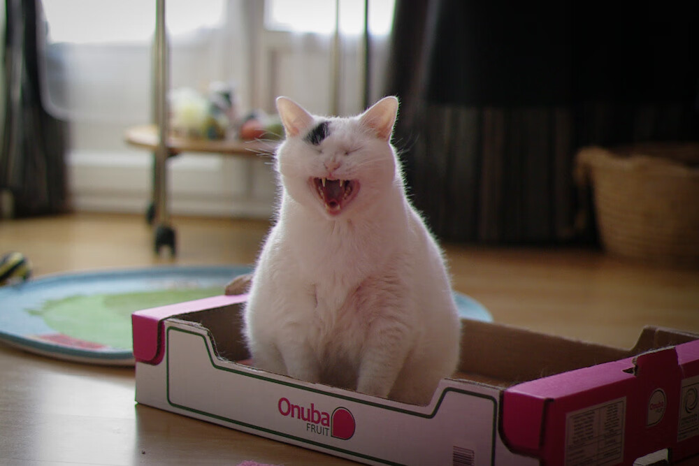 乐鱼体育app网址-亚洲杯国足惨败 技术层面问题突出，亚洲杯国足战绩