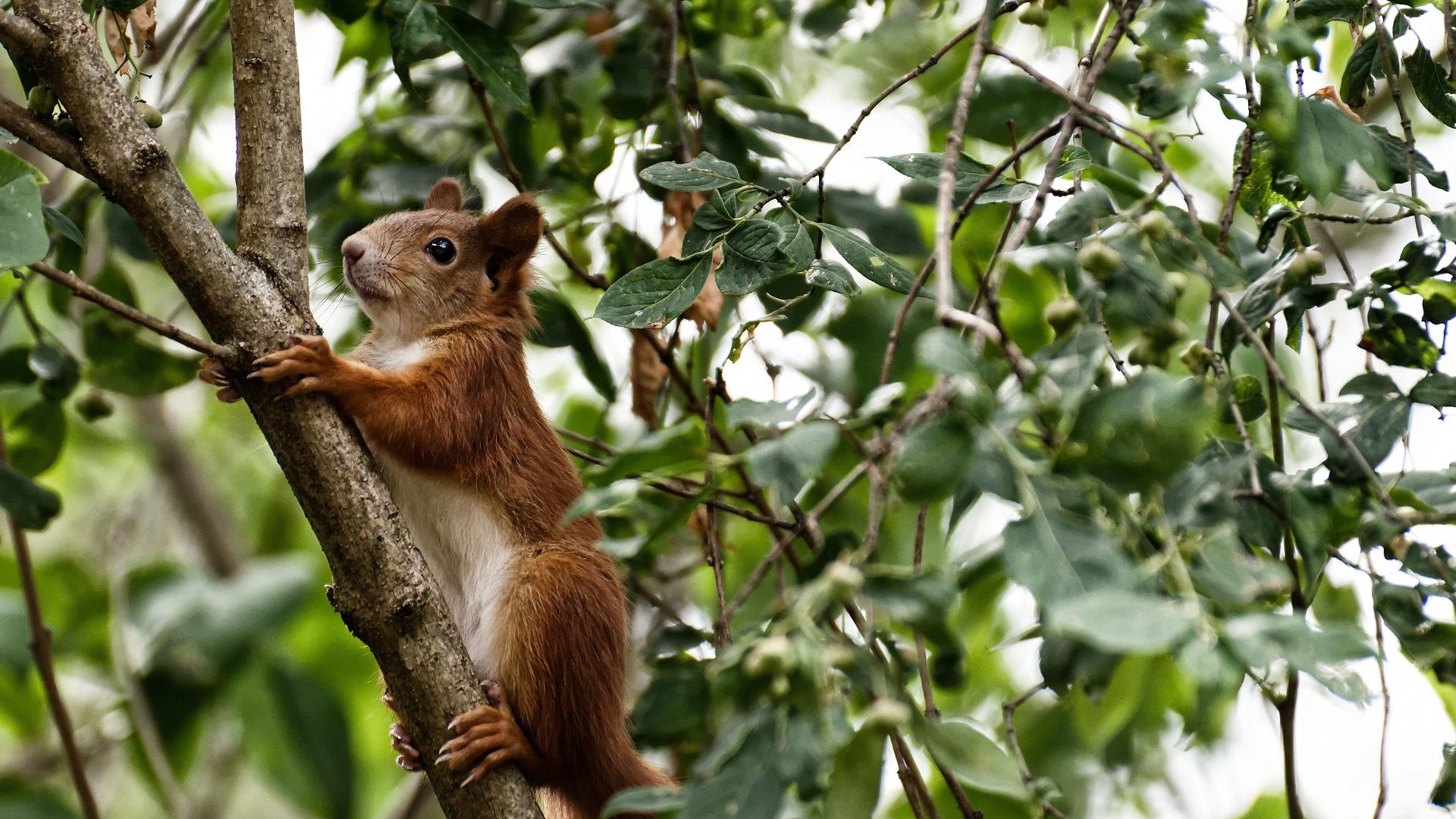 乐鱼体育入口-校园足球冬训营开设专项体能课程,校园足球冬训营开设专项体能课程有哪些